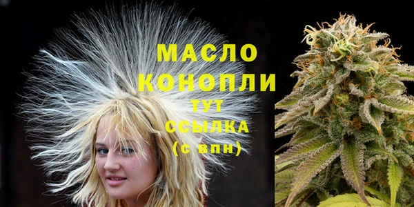 гашик Елизово