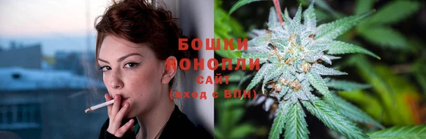 гашик Елизово