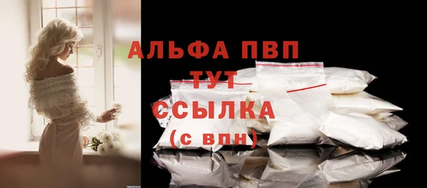 гашик Елизово