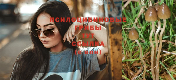 гашик Елизово