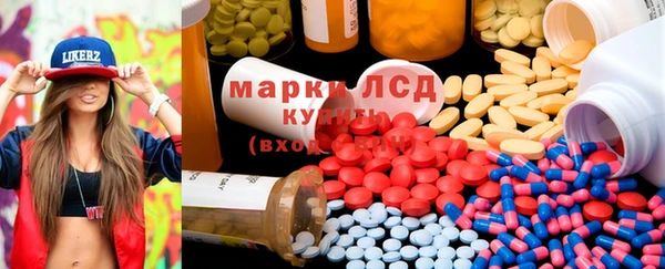 spice Ельня