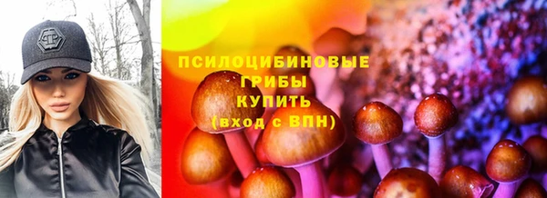spice Ельня