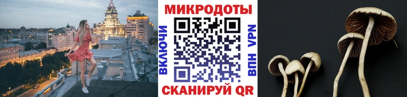 Галлюциногенные грибы Cubensis блэк спрут маркетплейс Новомосковск